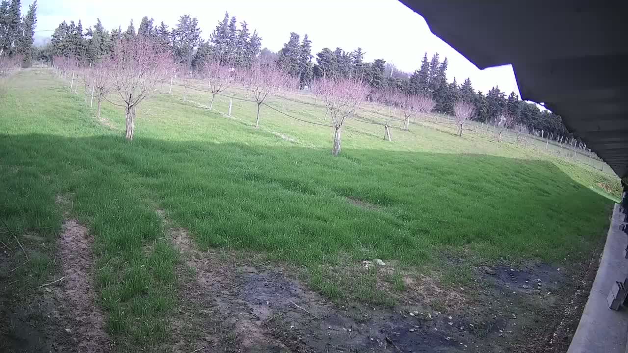  Loriol-sur-Drôme Garden Live Cam - Die, Drome, Auvergne-Rhone-Alpes, France