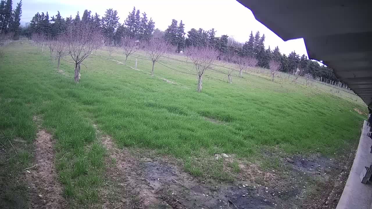  Loriol-sur-Drôme Garden Live Cam - Die, Drome, Auvergne-Rhone-Alpes, France