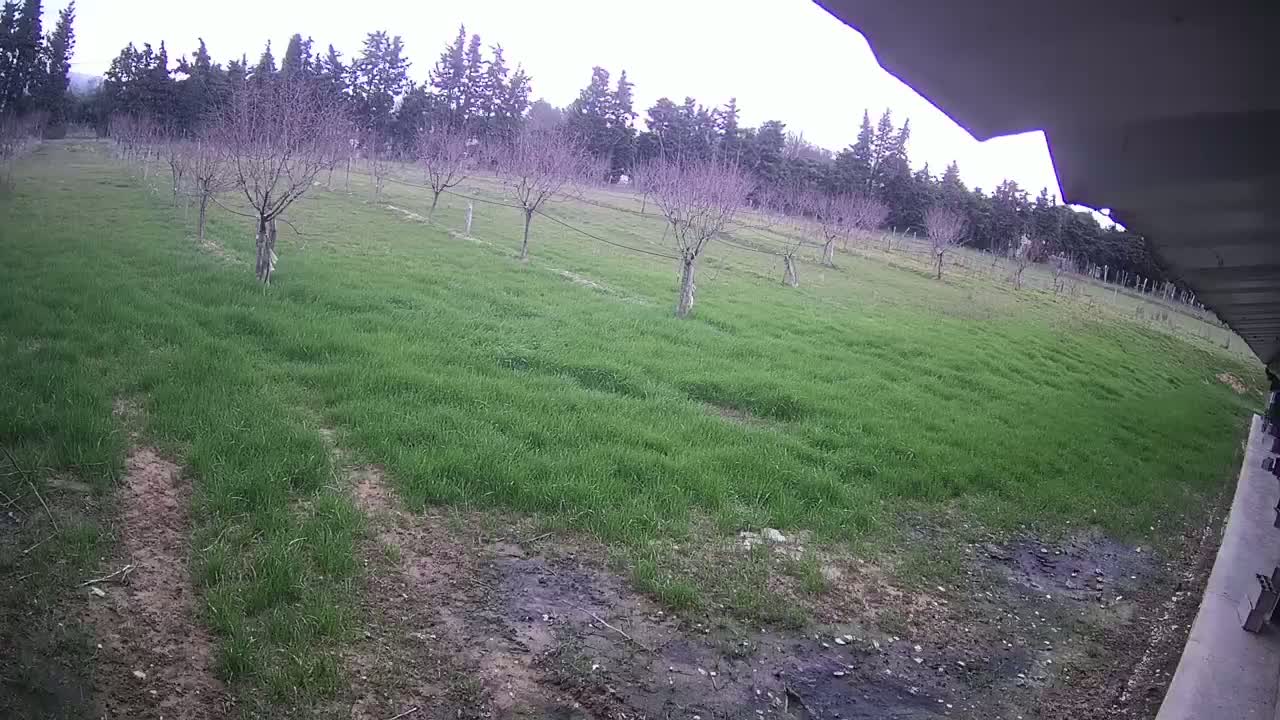  Loriol-sur-Drôme Garden Live Cam - Die, Drome, Auvergne-Rhone-Alpes, France