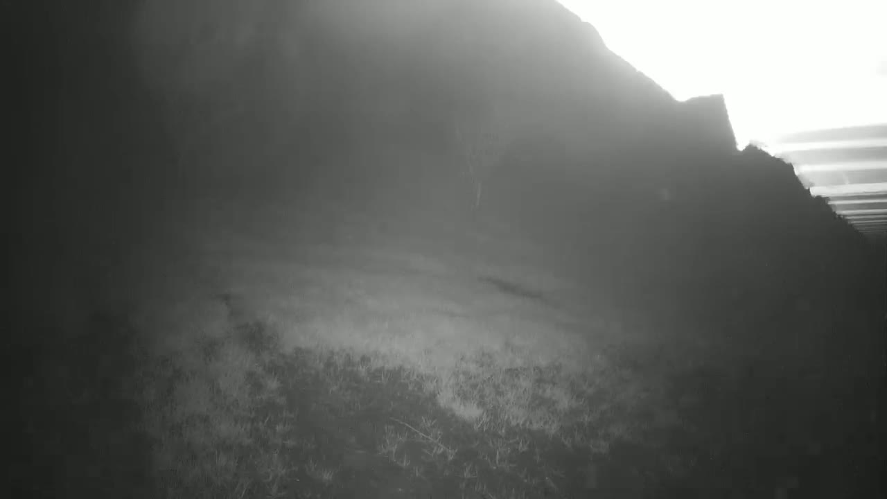 A hazy, possibly foggy, landscape shows a dark hillside sloping down to a flat area of sparse vegetation.