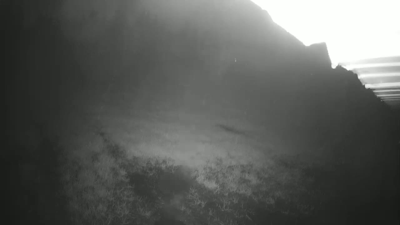 A hazy, overcast day reveals a dark, rocky hill overlooking a low-lying expanse of scrubby vegetation.
