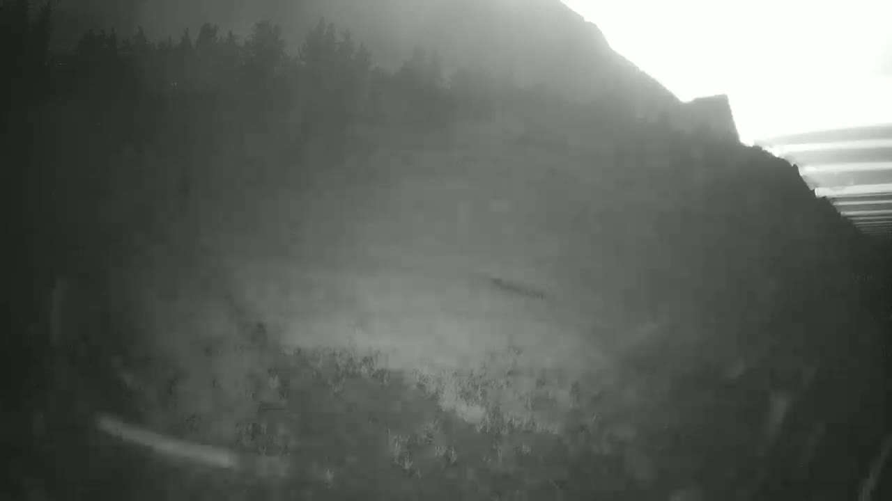 A hazy, possibly foggy, landscape shows a dark hillside covered in low vegetation with a line of trees at its peak.