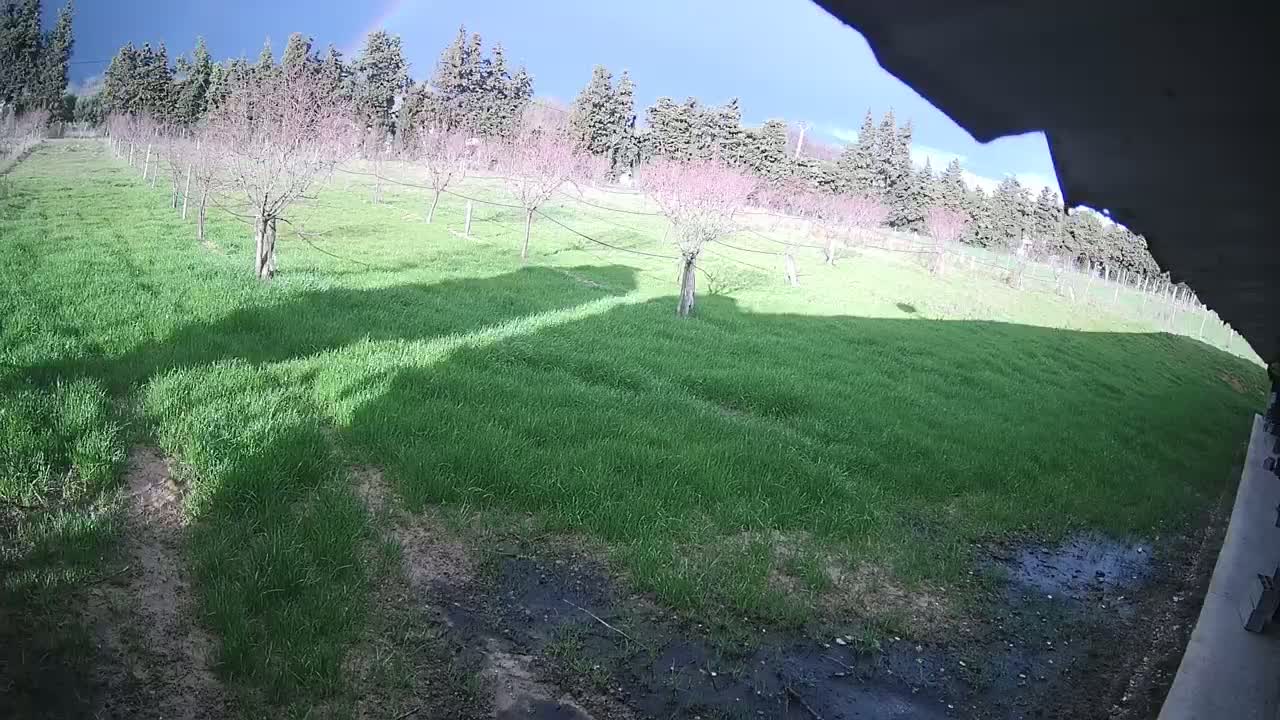 A partly sunny day reveals a grassy field with young fruit trees, partially viewed from under a structure.