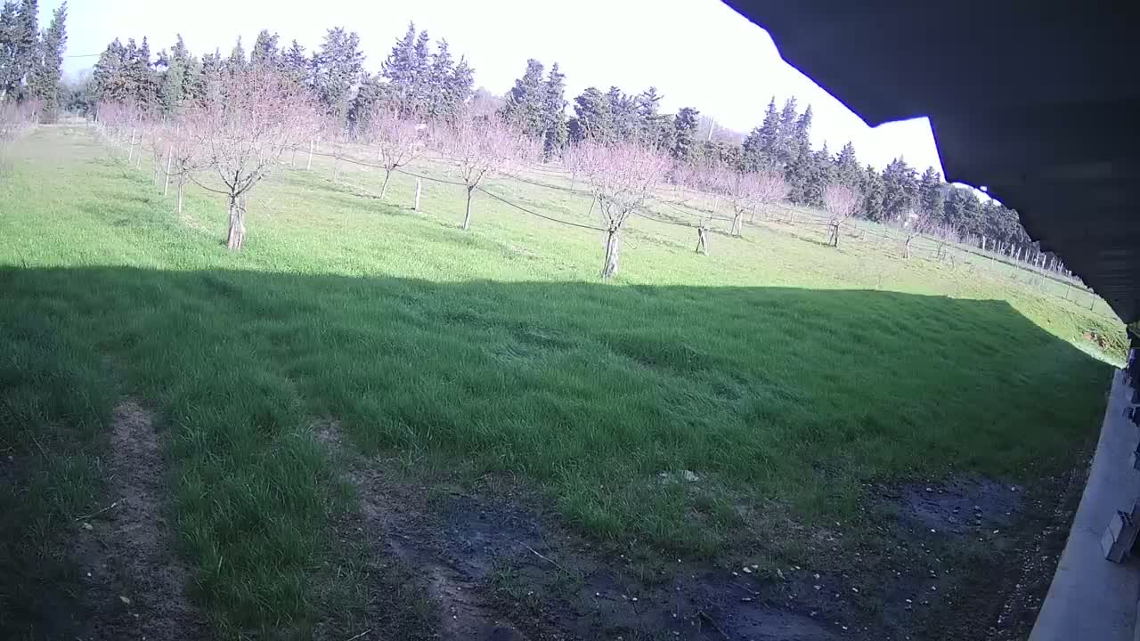  Loriol-sur-Drôme Garden Live Cam - Die, Drome, Auvergne-Rhone-Alpes, France