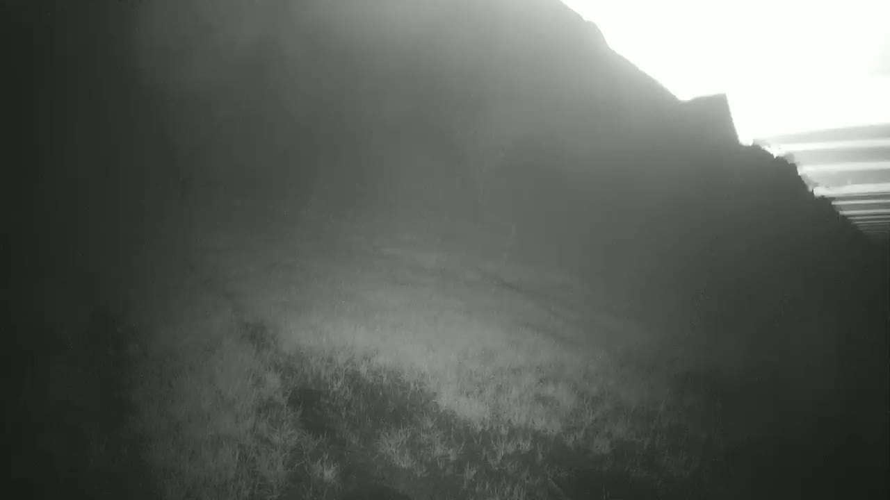 A hazy, possibly foggy, landscape shows a dark hill or mountain sloping down to a field of low-lying vegetation.