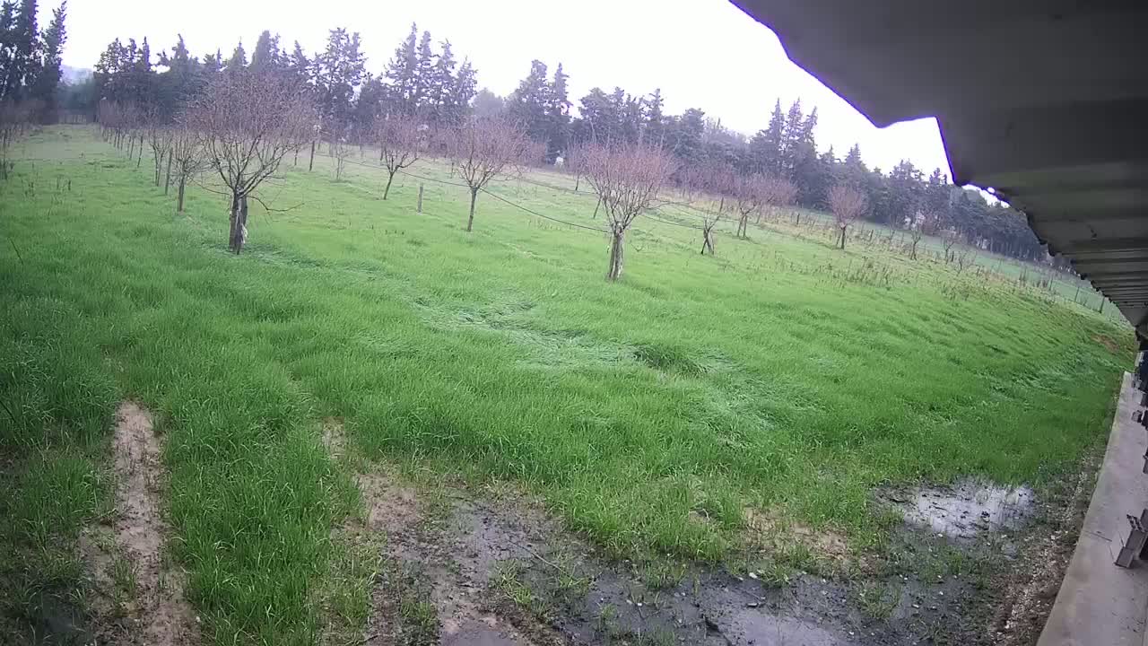 A grassy field with sparse trees and muddy patches is visible from under a roof overhang in overcast weather.