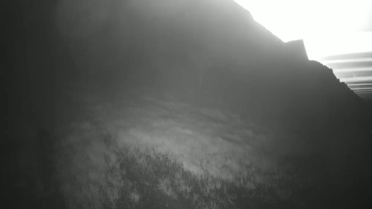 A hazy, bright landscape shows a dark, shadowy hill descending into a field of low-lying vegetation.