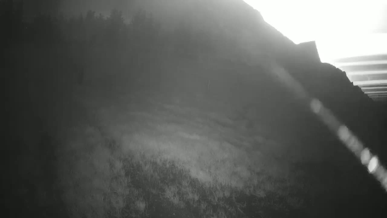A hazy, sunlit hillside slopes downward, covered in sparse, low-lying vegetation, towards a shadowed forest at its base.