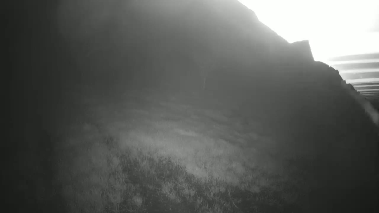 A hazy, light-filled scene shows a rocky hill covered in low-lying vegetation.