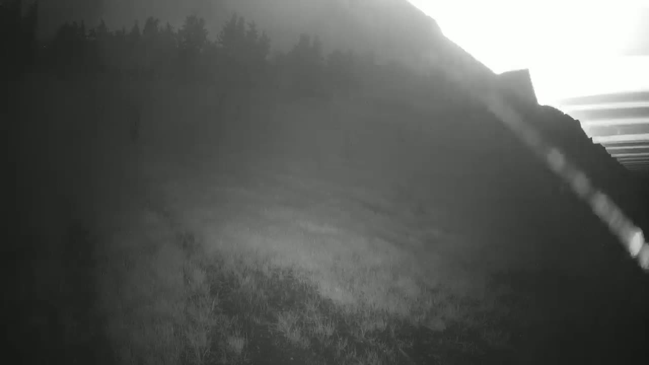 A foggy, sunlit hillside slopes down from a dark, tree-covered ridge.