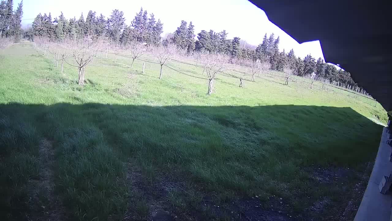  Loriol-sur-Drôme Garden Live Cam - Die, Drome, Auvergne-Rhone-Alpes, France