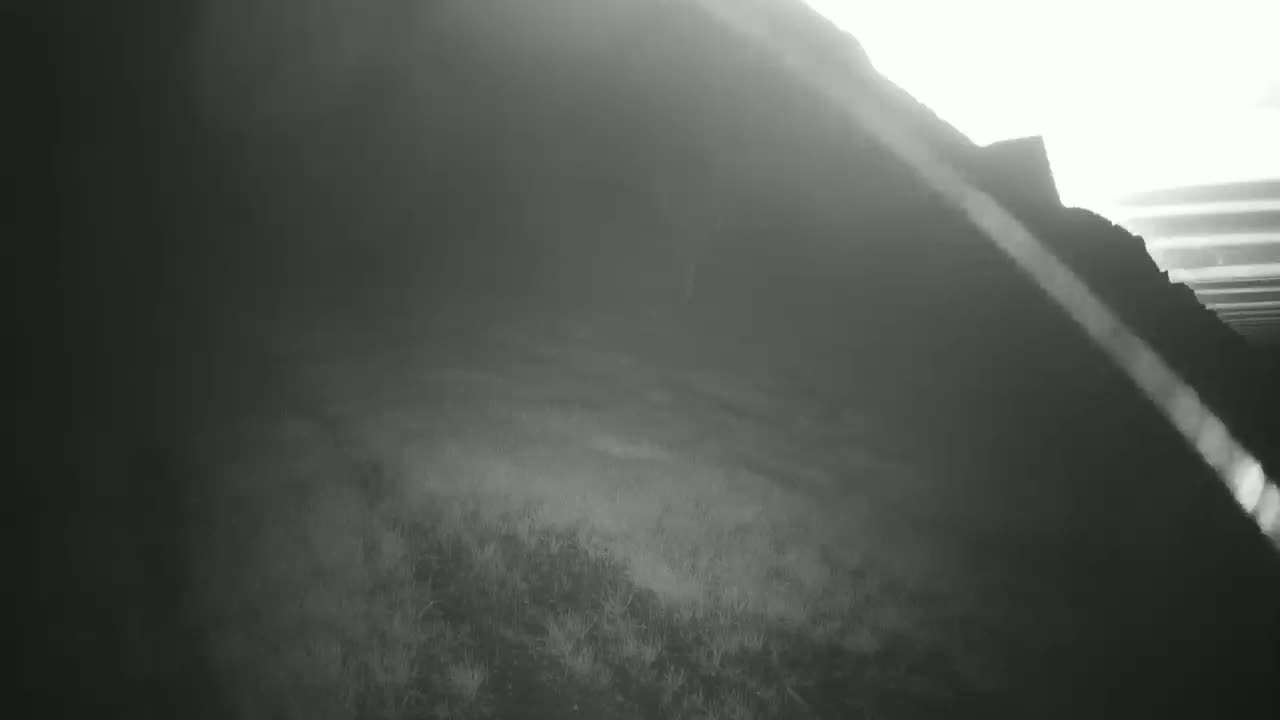 A hazy, bright sun illuminates a dark, rocky hillside overlooking a field of low-lying vegetation.