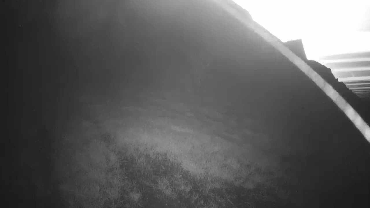 A blurry, foggy, grayscale image shows a dark hillside sloping down to a patch of low-lying grass.