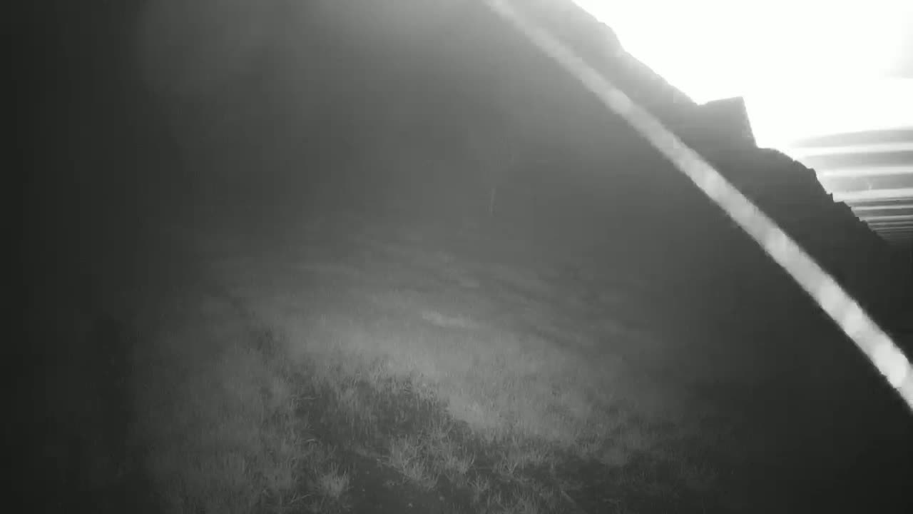 A hazy, bright light shines on a dark, grassy field and a large, shadowed structure.