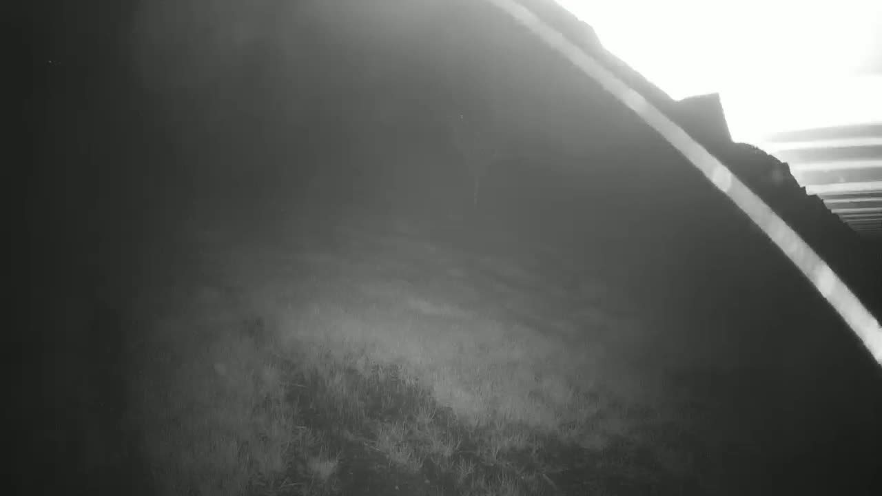 A low-lying expanse of sparse grass is visible beneath a dark, possibly foggy, sky.