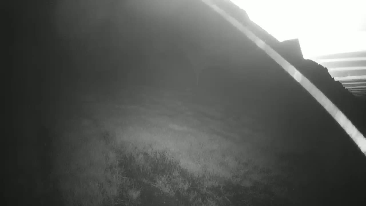 A blurry, grainy, black-and-white image shows a dark, possibly foggy or hazy, outdoor scene of a grassy area beneath a large, dark structure.