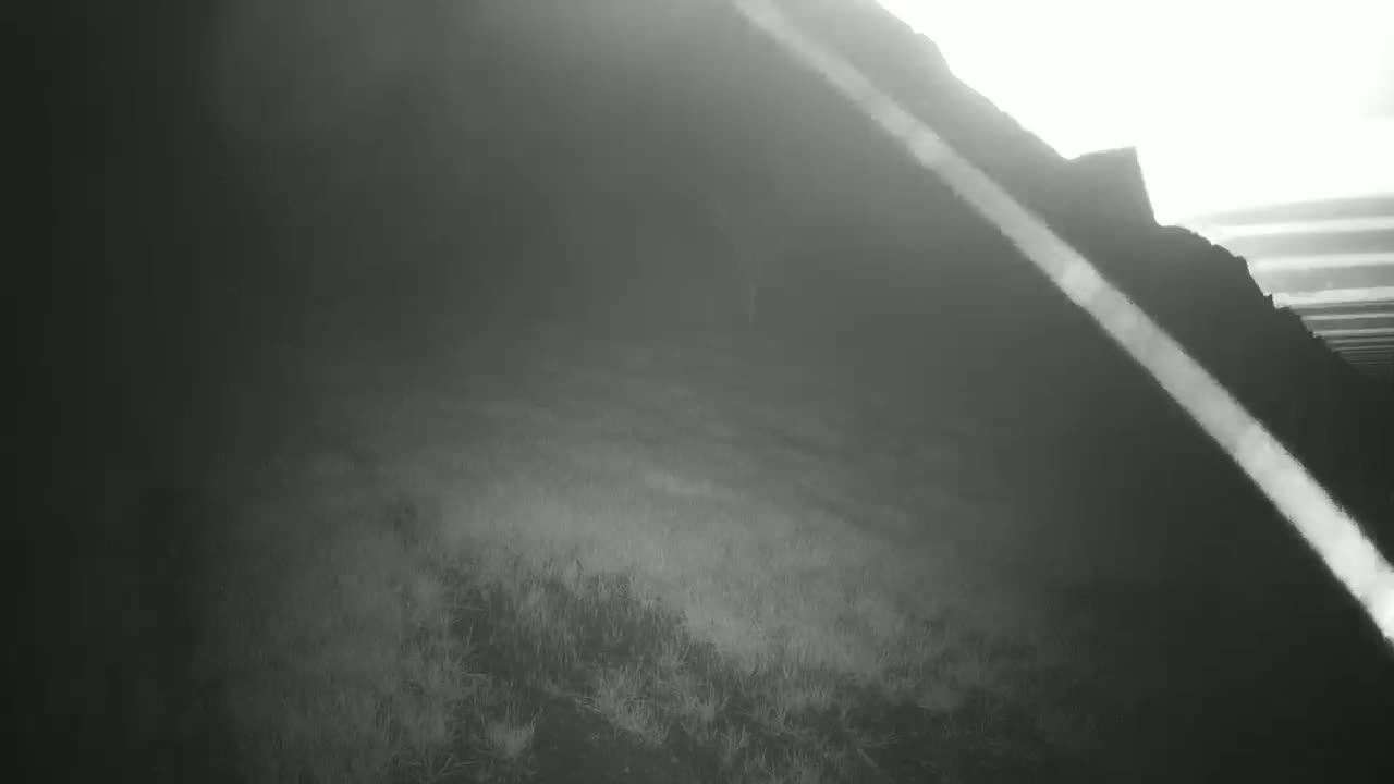 A foggy, low-lying field slopes upward to a dark, indistinct hill.