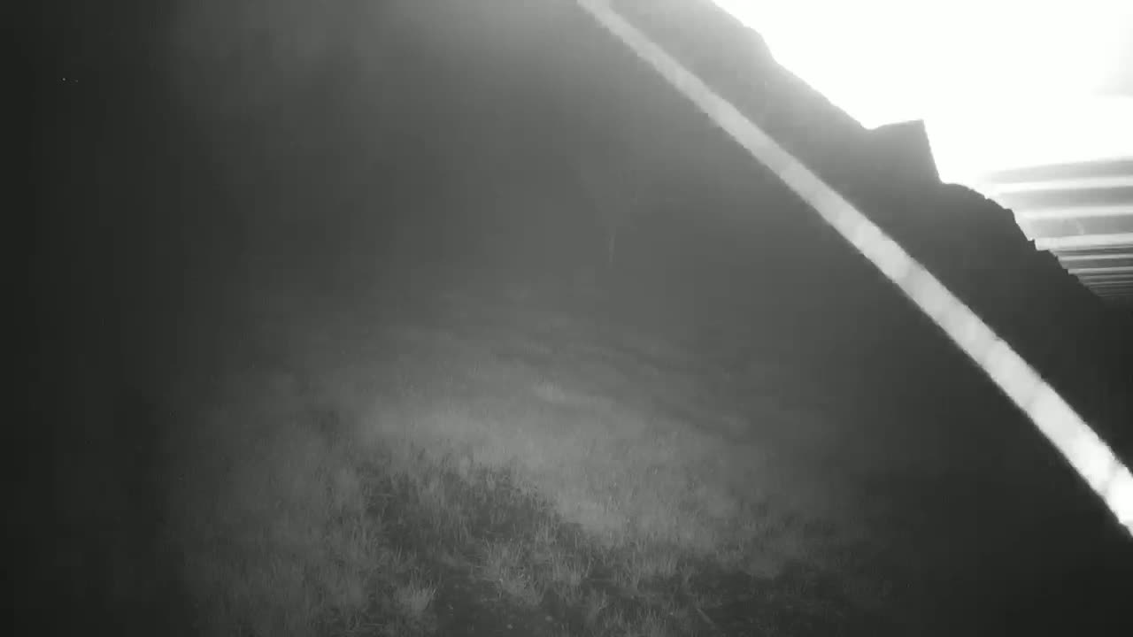 A hazy, low-light outdoor scene shows a dark hillside covered in sparse vegetation, with a bright, diagonal streak of light cutting across the frame.