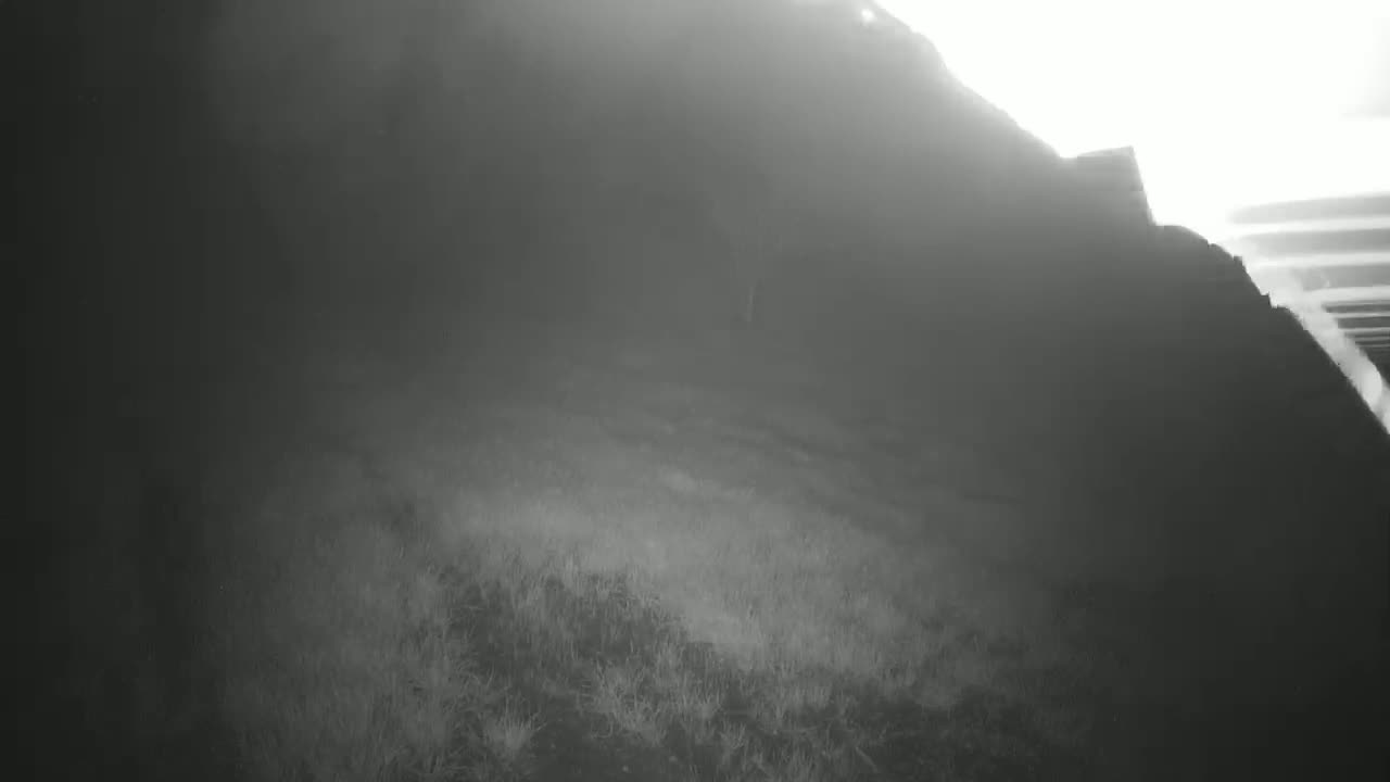 A hazy, bright outdoor scene shows a grassy hillside sloping upward toward a dark, indistinct structure.