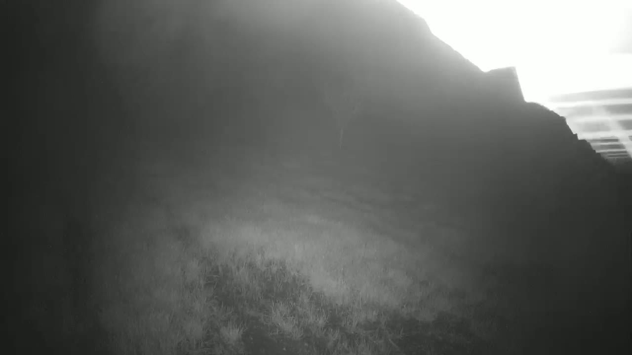 A hazy, dimly lit landscape shows a grassy field sloping upward toward a dark, mountainous silhouette.