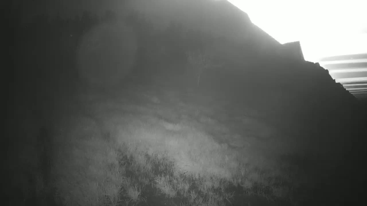 A hazy, possibly foggy, landscape shows a dark hillside covered in short, sparse grass sloping down toward the foreground.
