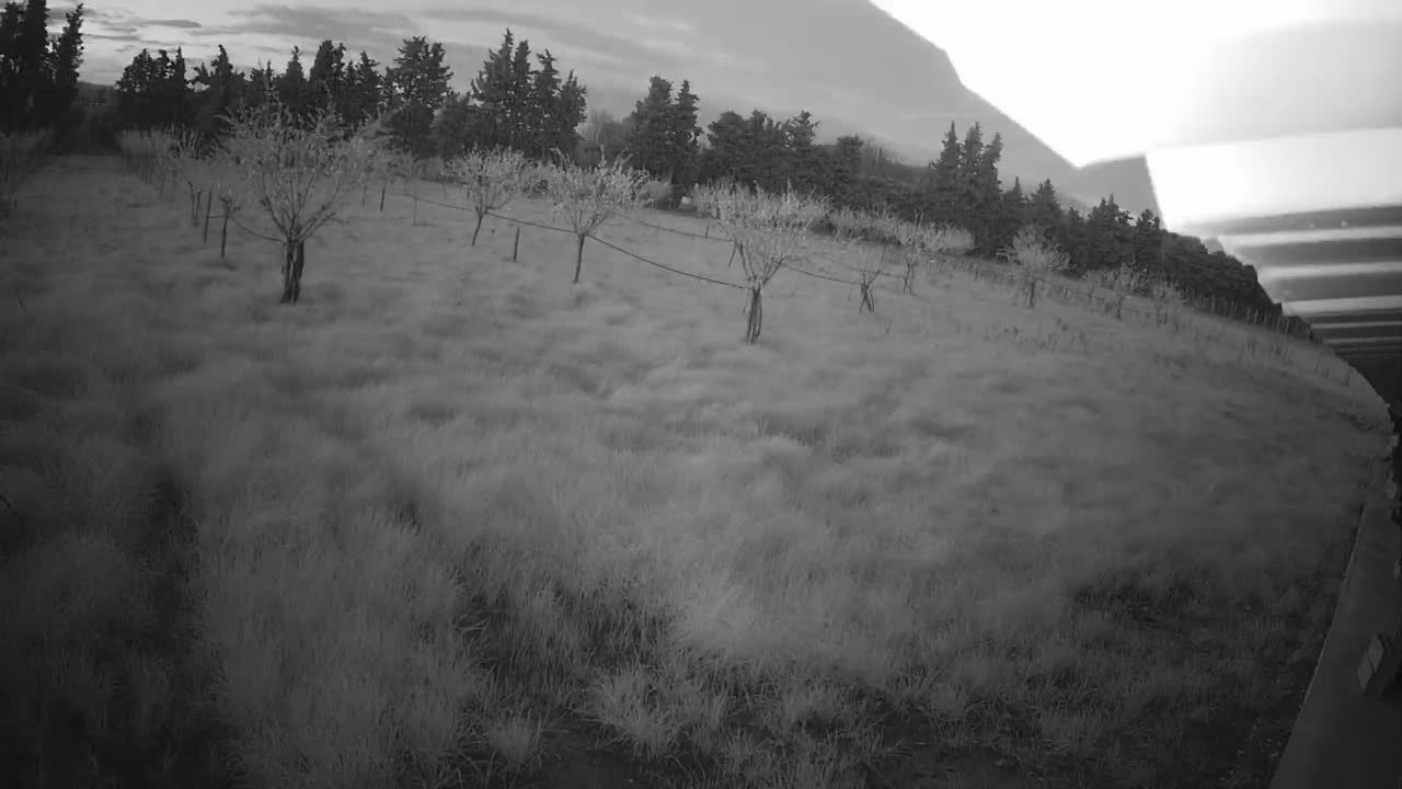 A field of tall grass with sparsely planted trees is visible under an overcast sky.