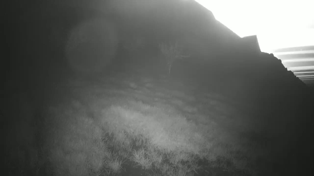 A hazy, bright landscape shows a dark hill or cliff with sparse, short vegetation in the foreground and a lone tree on the hillside.
