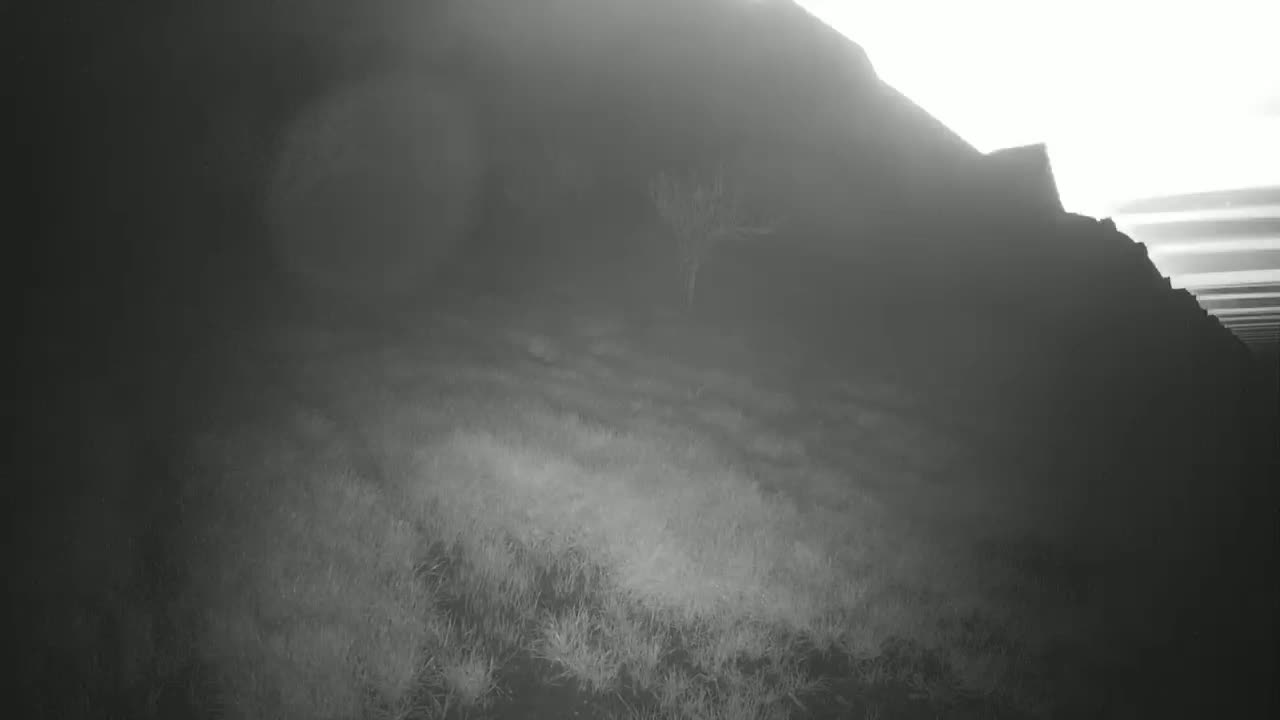 A hazy, dimly lit landscape shows a grassy hillside sloping up to a dark, shadowy rock face under an overcast sky.
