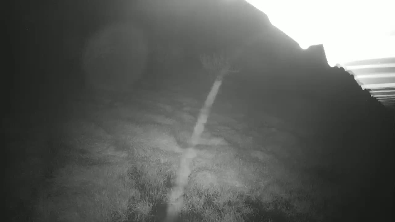 A bright, vertical stream of what appears to be water or vapor flows down a dark, grassy hillside under hazy conditions.