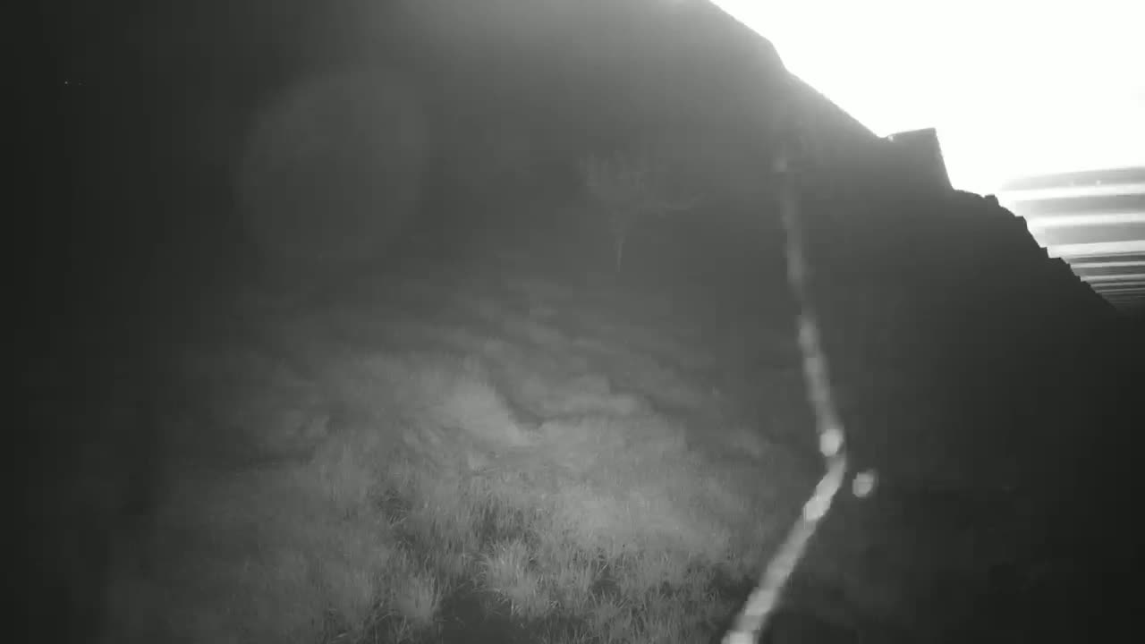 A hazy, bright light illuminates a dark hillside covered in low-lying grass.
