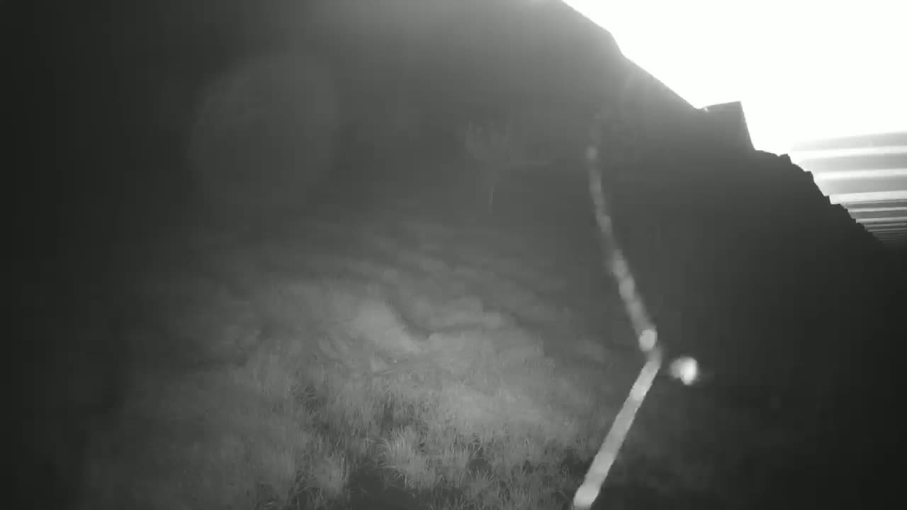 A hazy, bright light illuminates a dark, grassy area at the base of a large, shadowy hill.