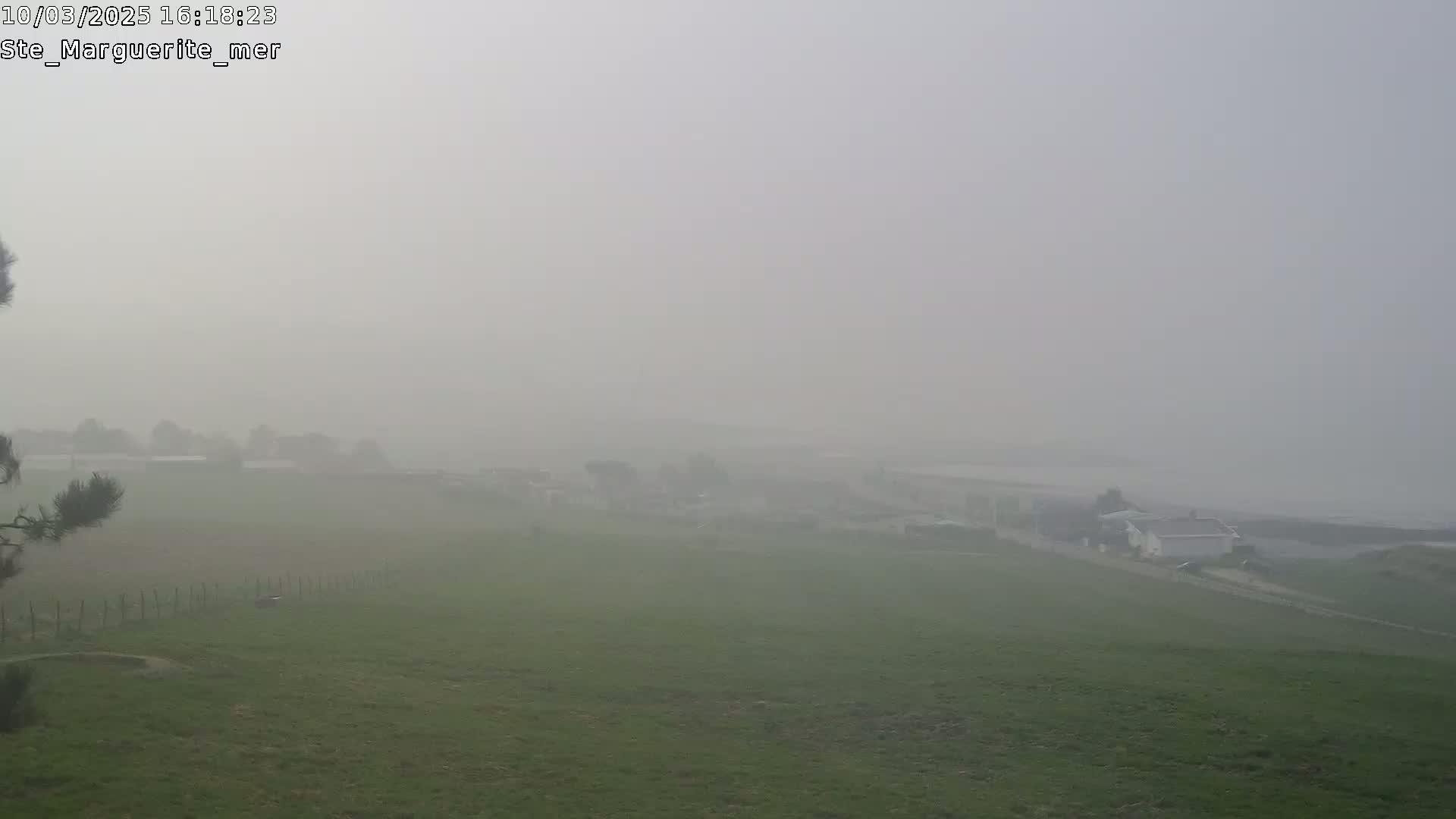 A foggy, overcast landscape shows a field extending to a distant coastline with a few buildings barely visible in the haze.