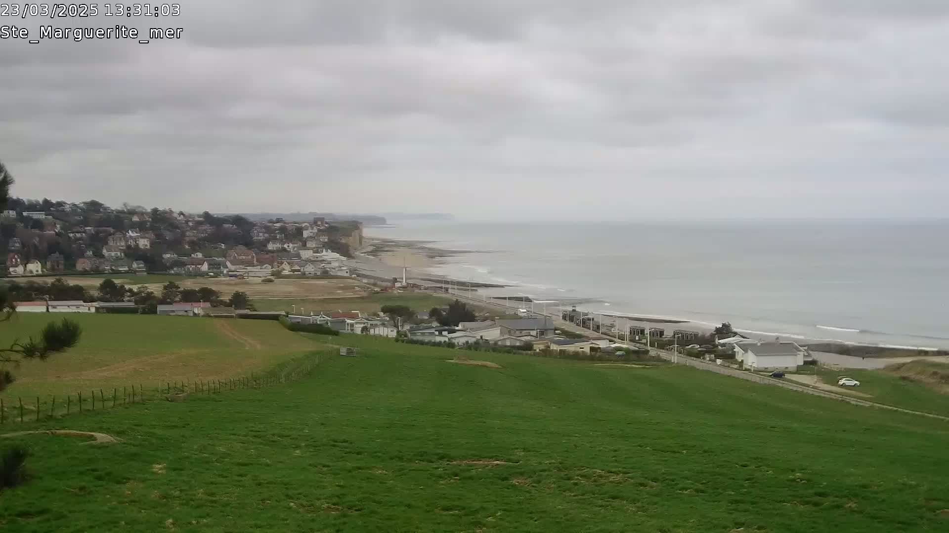 A verdant hillside overlooks a coastal town and a grey, overcast ocean with a sandy beach.