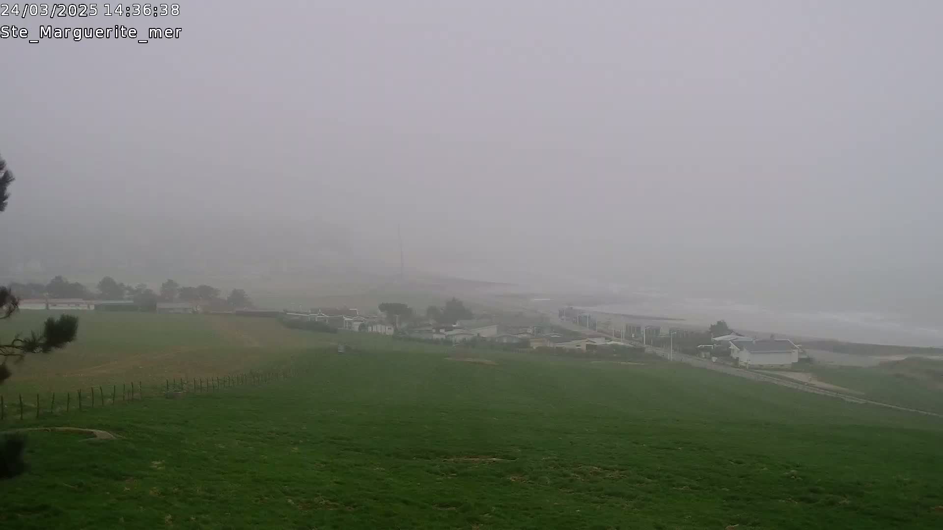 A foggy coastal scene shows a green field sloping down to a hazy ocean and a line of buildings partially obscured by the mist.