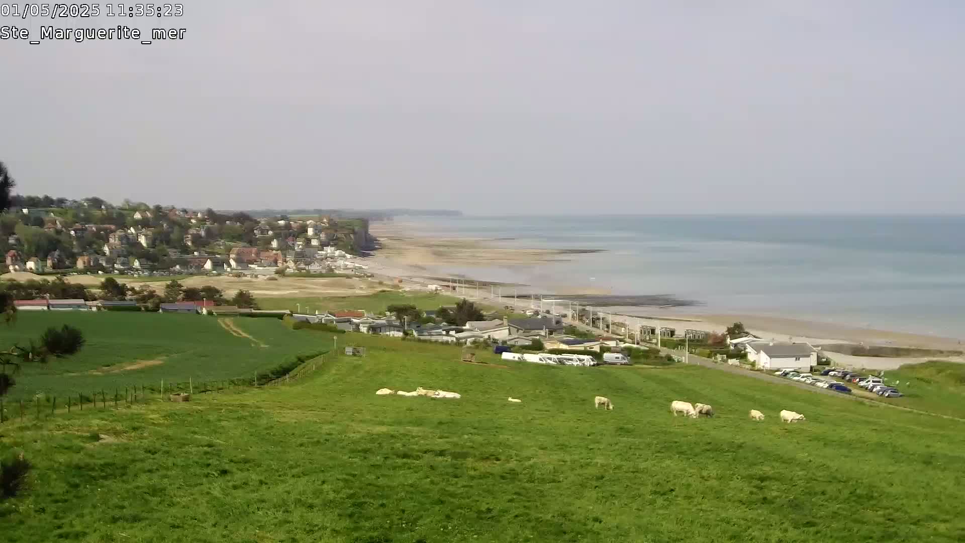 A coastal town nestled against cliffs overlooks a wide sandy beach and calm ocean under a hazy sky, with sheep grazing in a green pasture in the foreground.