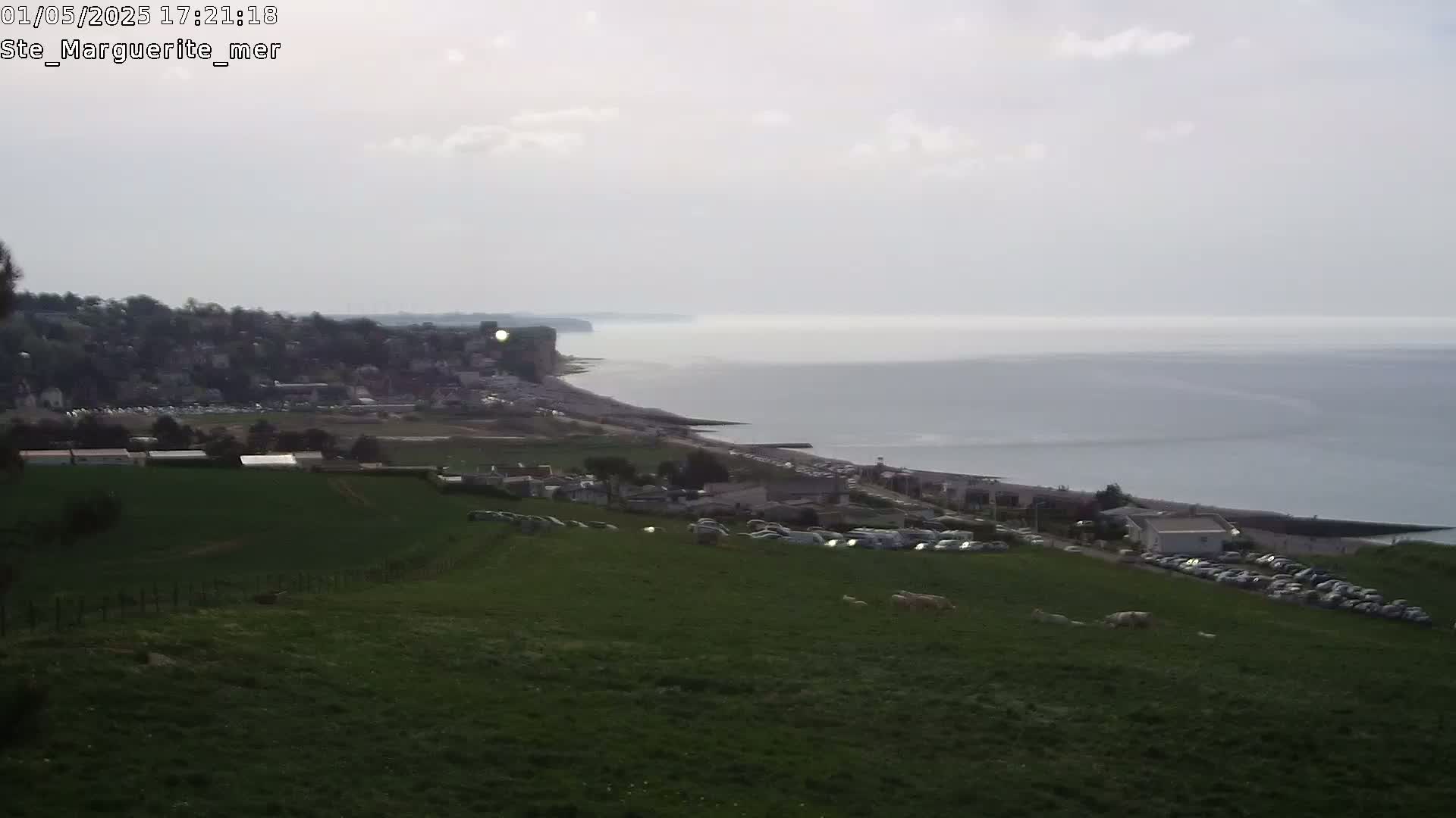 A coastal town nestled beside a calm sea under a cloudy sky is viewed from a grassy hilltop with sheep grazing in the foreground.