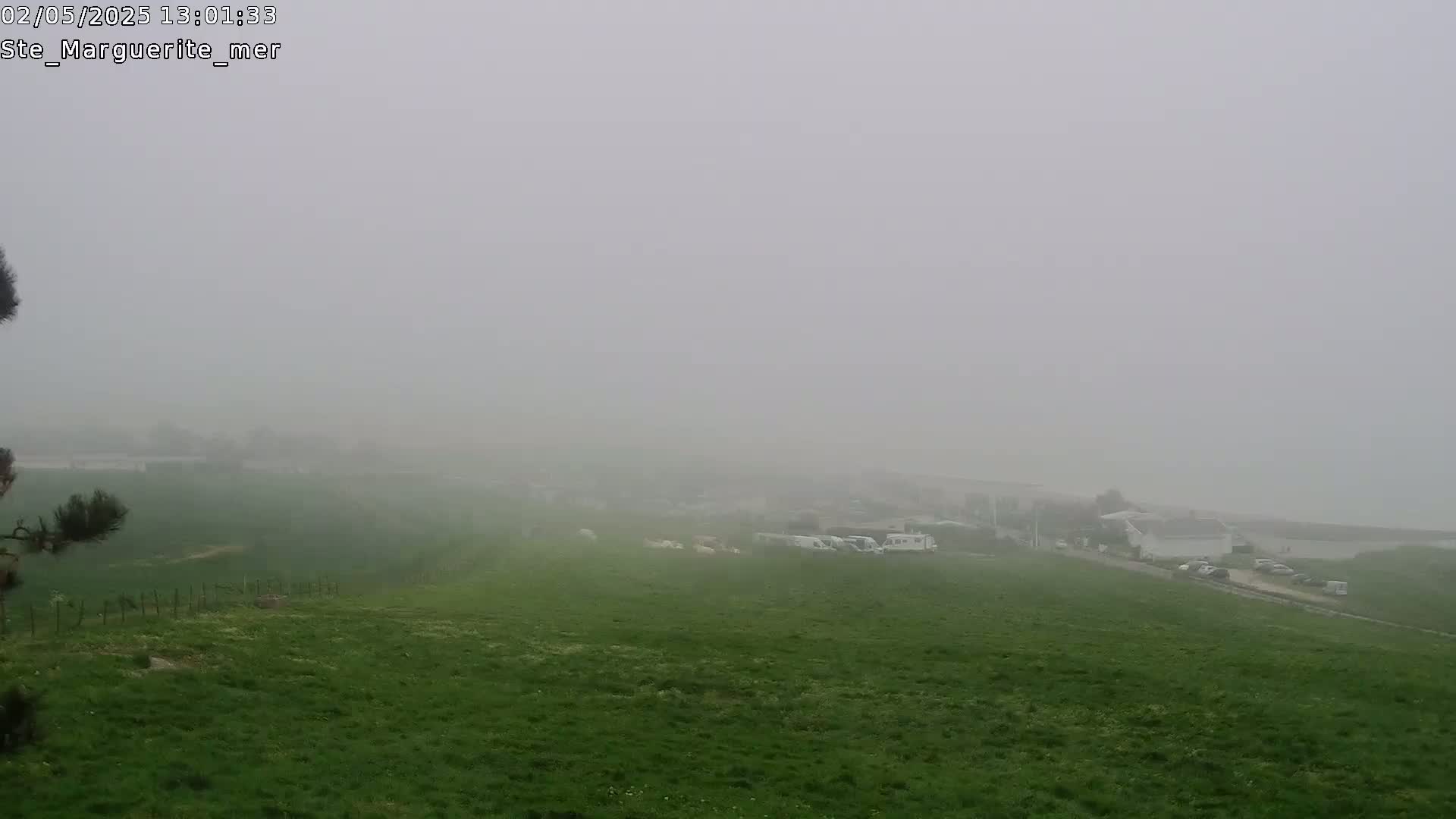 A foggy view of a grassy field with a few vehicles and buildings in the distance.