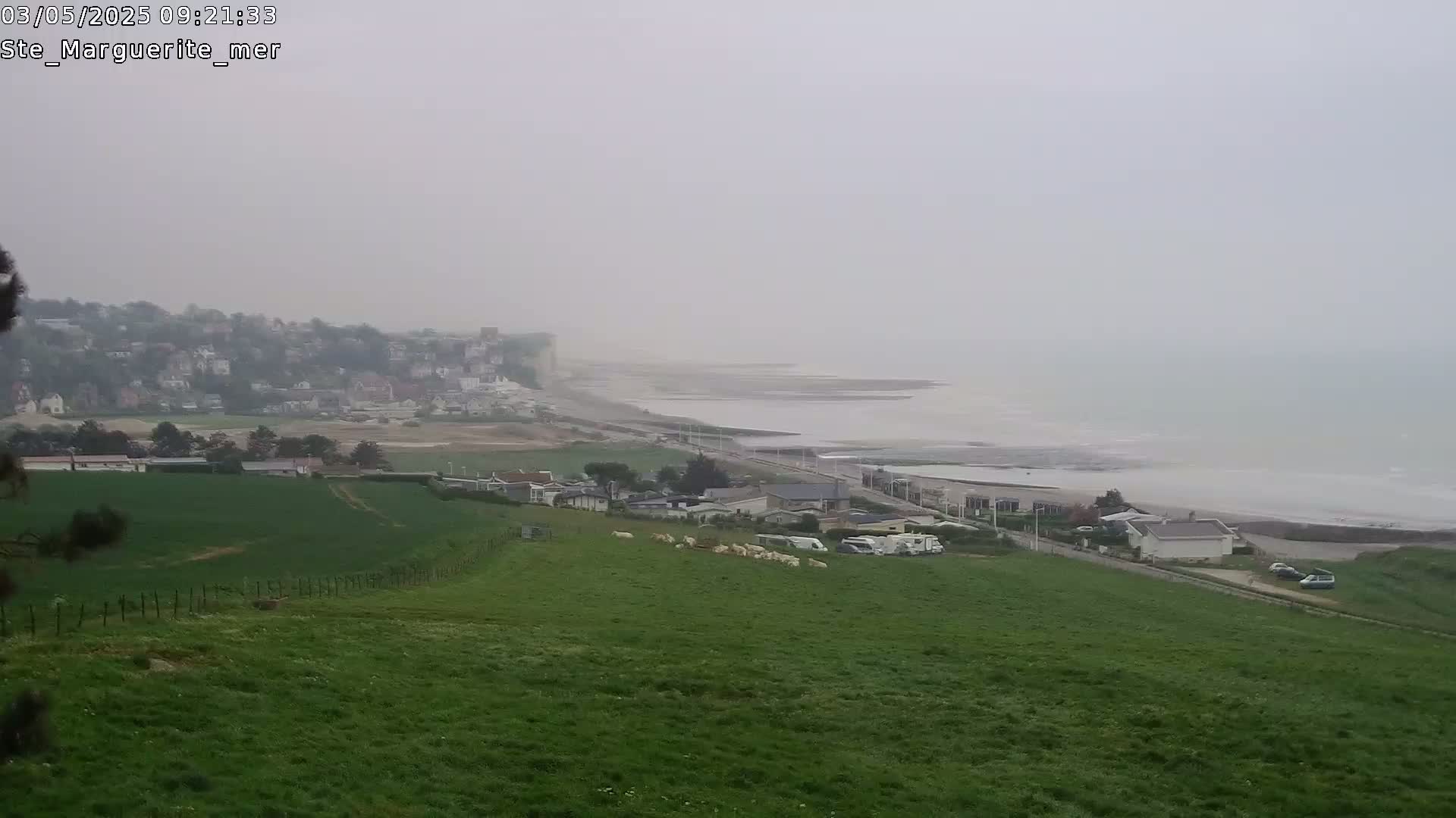 A hazy coastal view shows a grassy hillside with sheep, overlooking a town, a beach, and a calm sea.