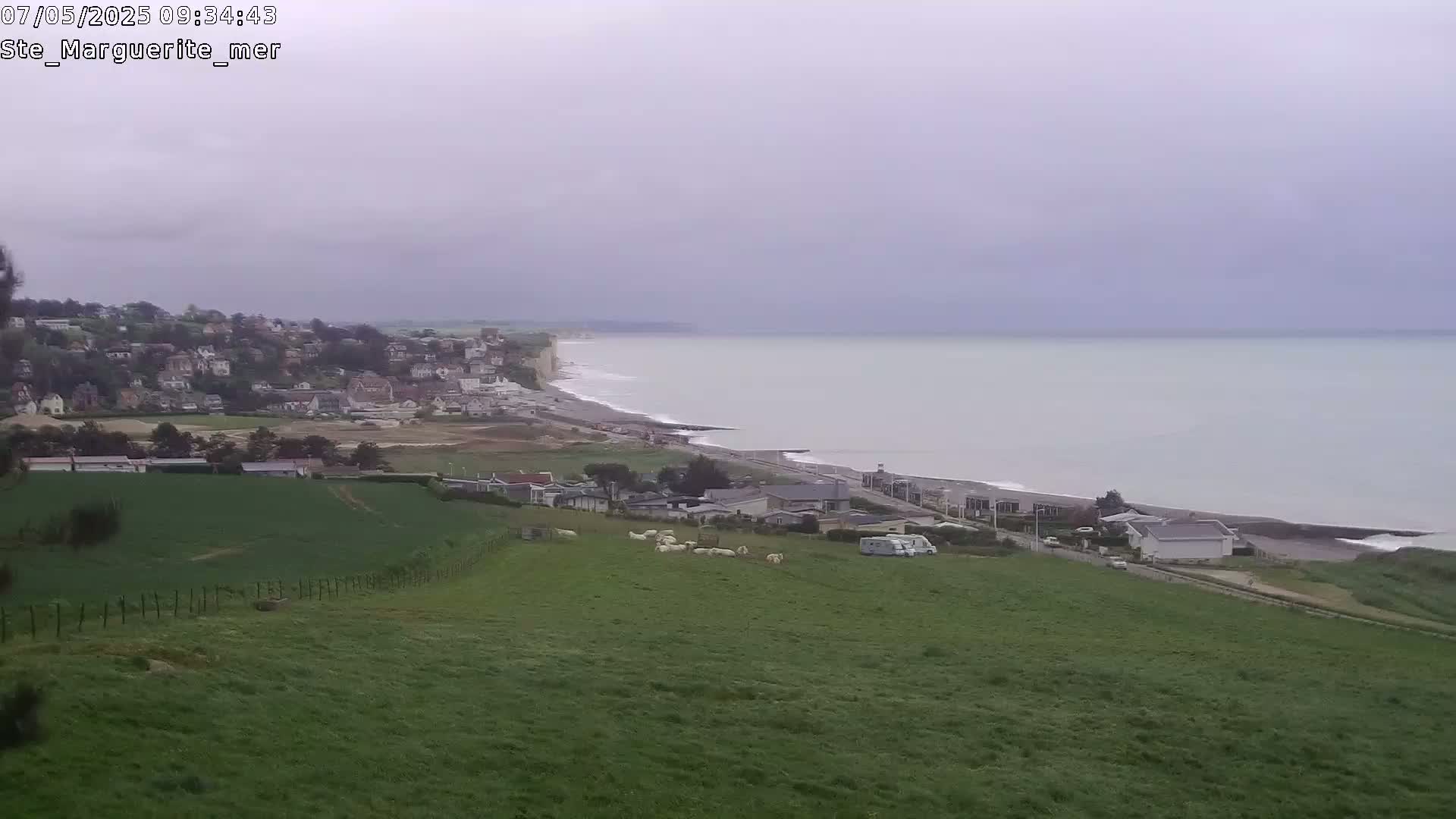 A coastal town sits below a gently sloping green hillside with sheep grazing, overlooking a calm, gray sea under an overcast sky.