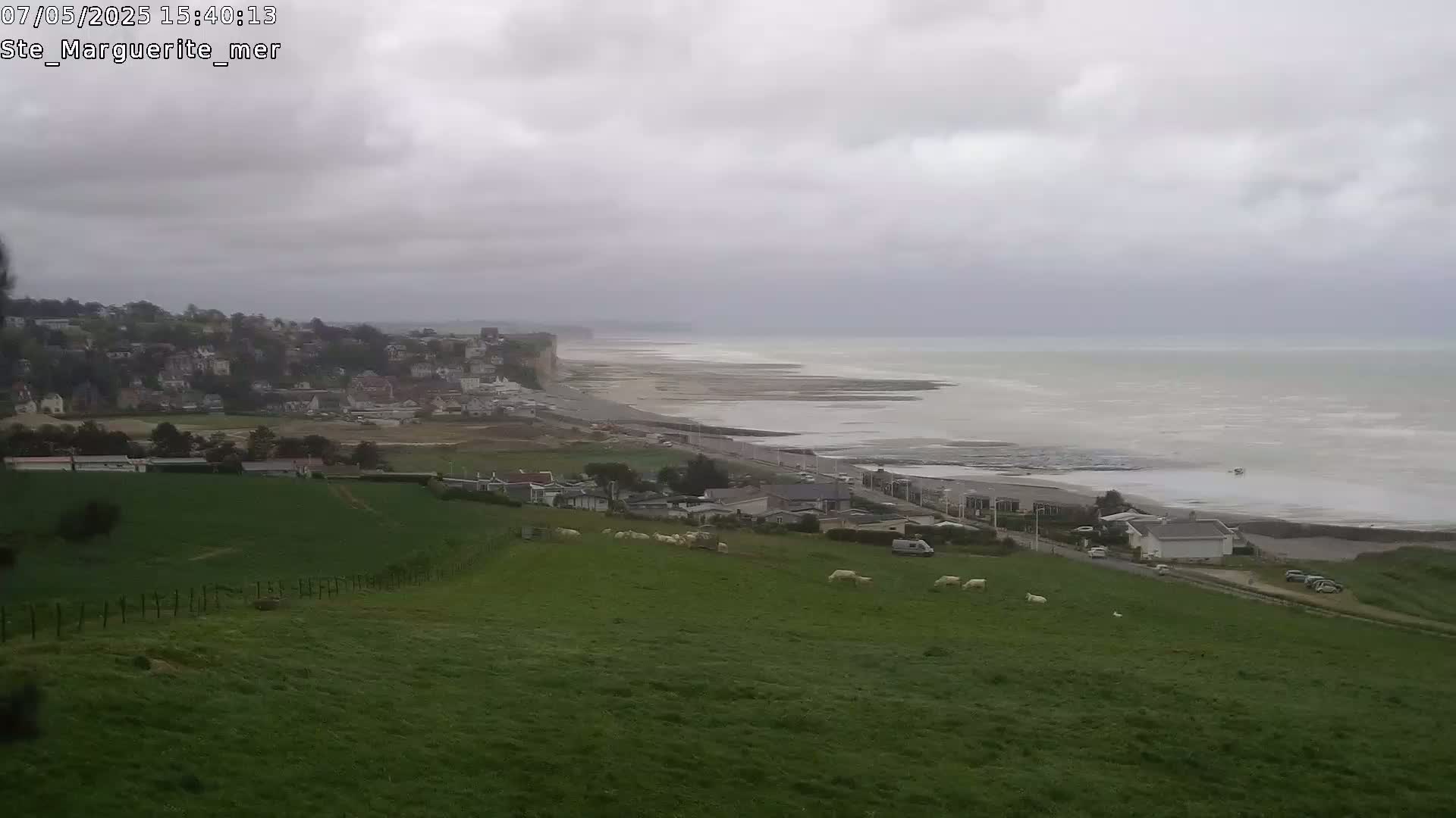 A coastal town nestled below a grassy hill overlooks a calm, gray sea under an overcast sky, with sheep grazing in a nearby pasture.