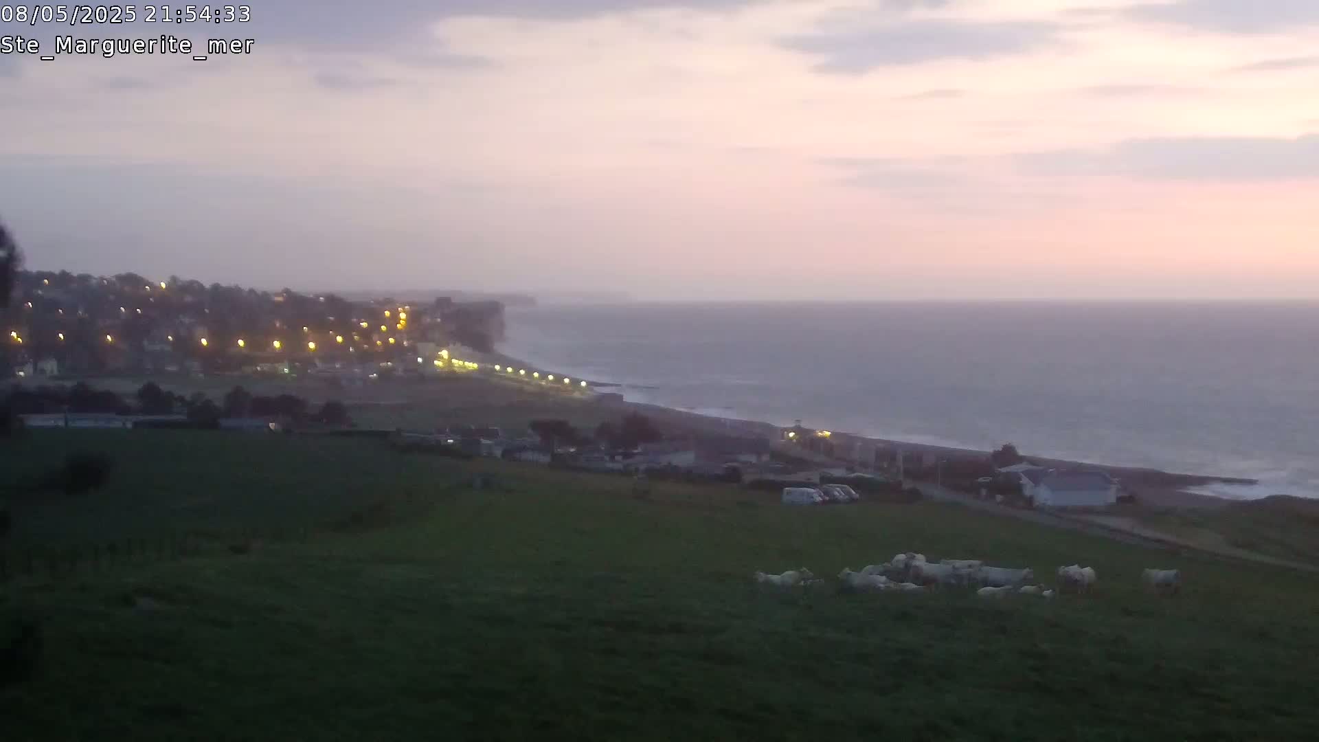 A twilight scene shows a coastal town with lights at the edge of a calm sea, overlooked by a grassy hillside with a small flock of sheep.