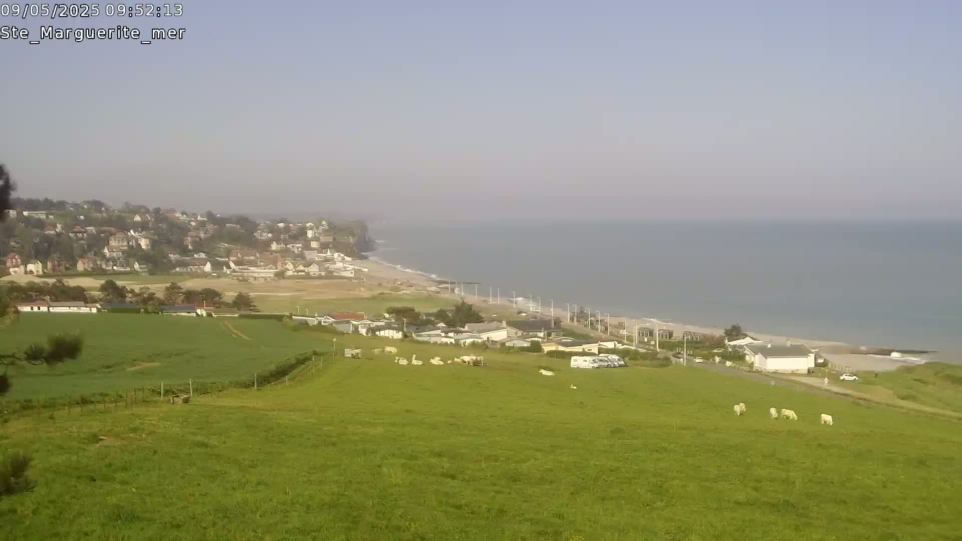 A coastal town with a sandy beach and calm ocean stretches out below a grassy hillside where cattle graze under a hazy sky.
