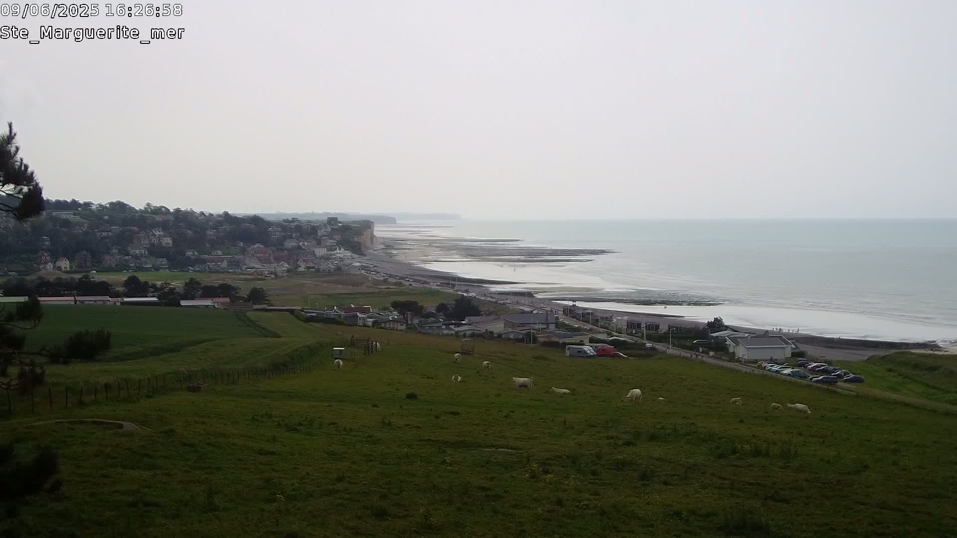 A coastal scene on an overcast day shows sheep grazing in a green field overlooking a town, a beach, and high cliffs along the ocean.