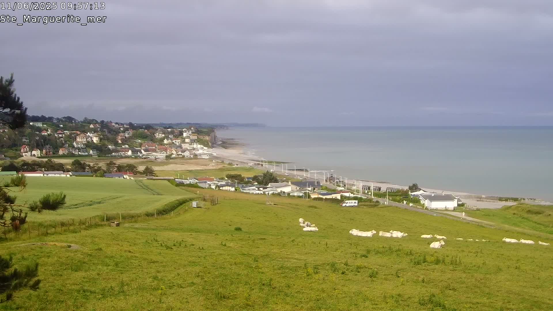 A coastal scene under an overcast sky shows a grassy hillside with light-colored cattle, overlooking a town, beach, and calm sea with a cliff in the distance.