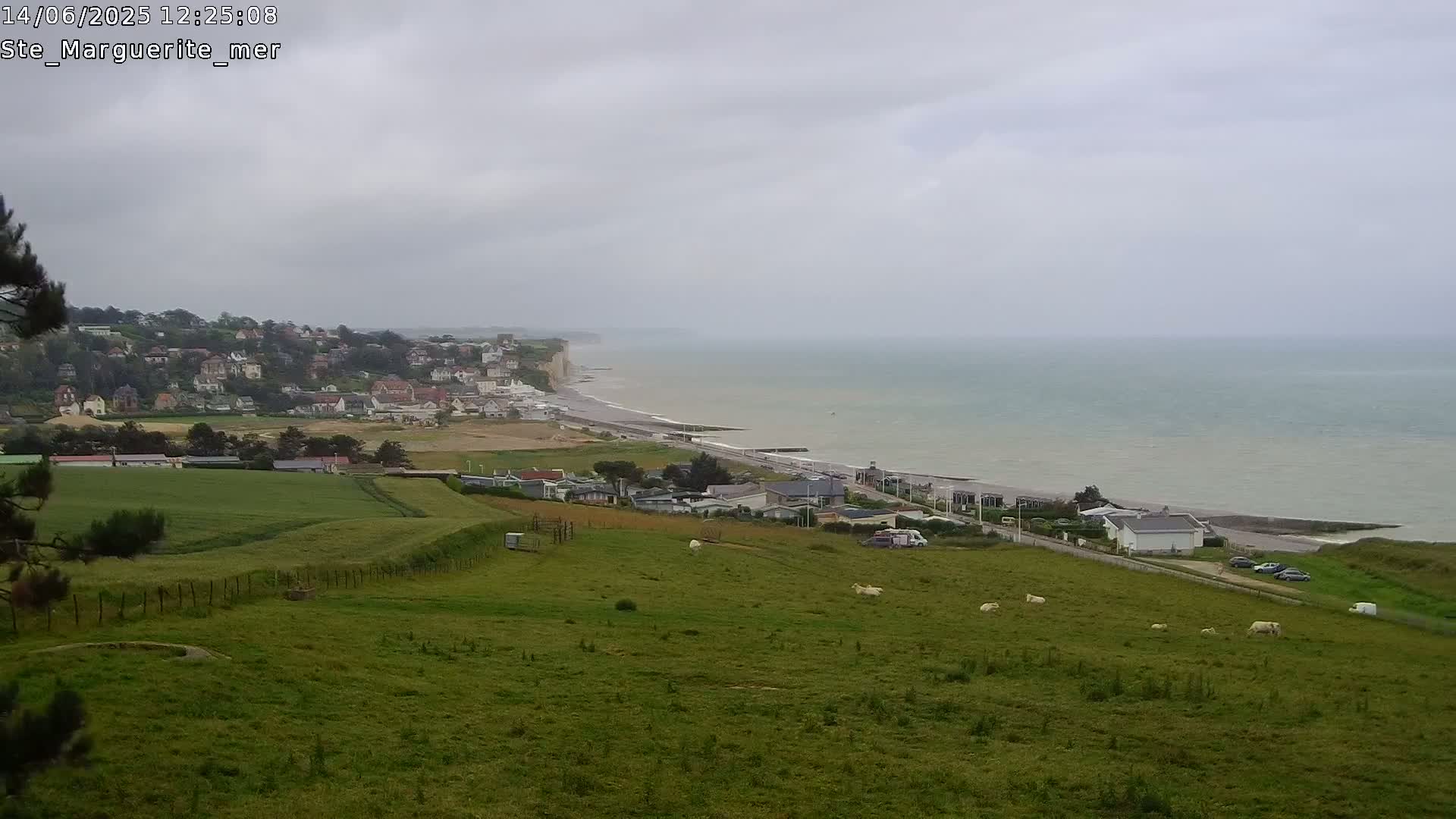 A coastal town sits on a hillside overlooking a calm sea under an overcast sky, with sheep grazing in a field in the foreground.