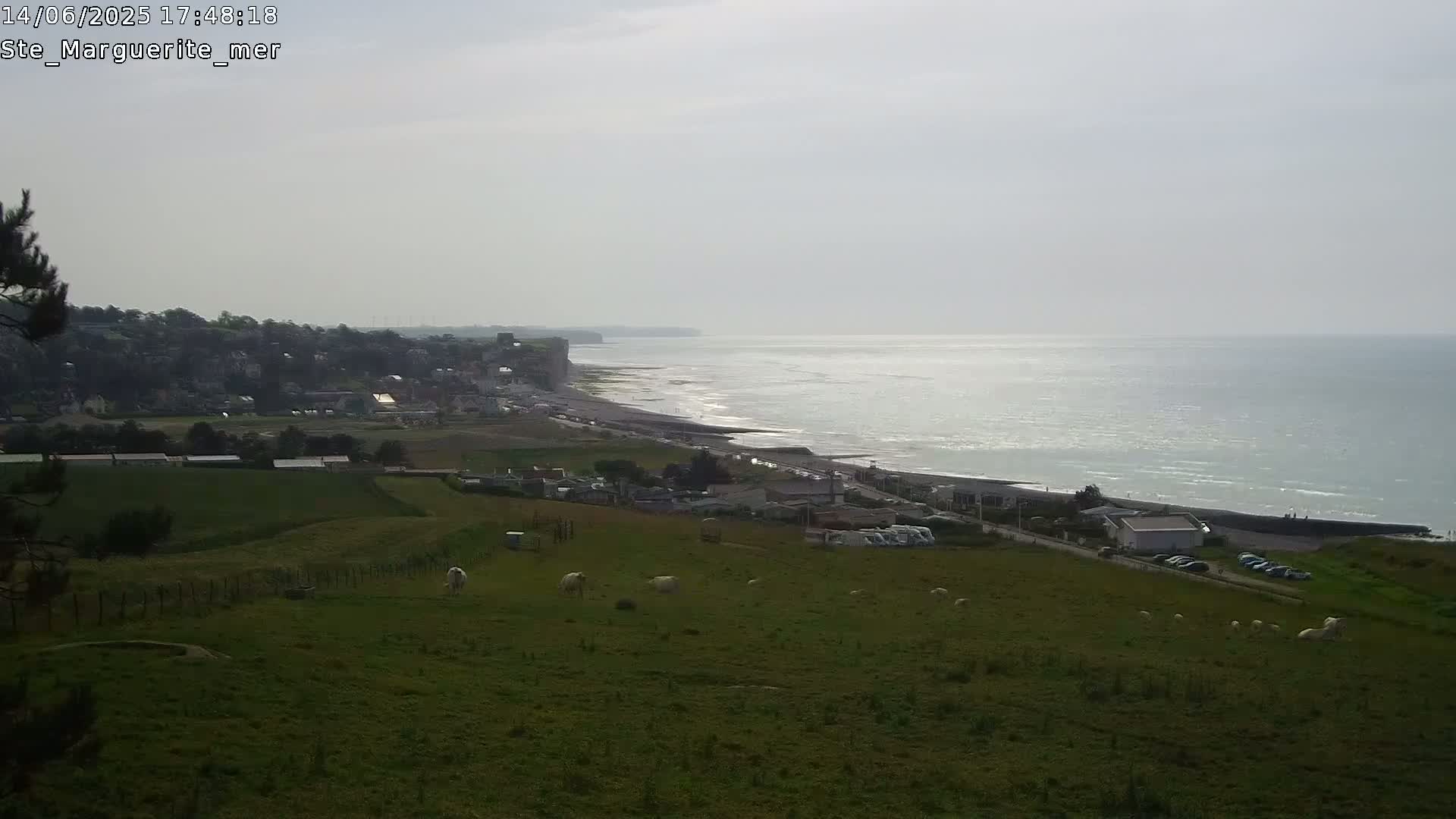 A pastoral scene of sheep grazing in a field overlooking a coastline with a town and cliffs under an overcast sky.