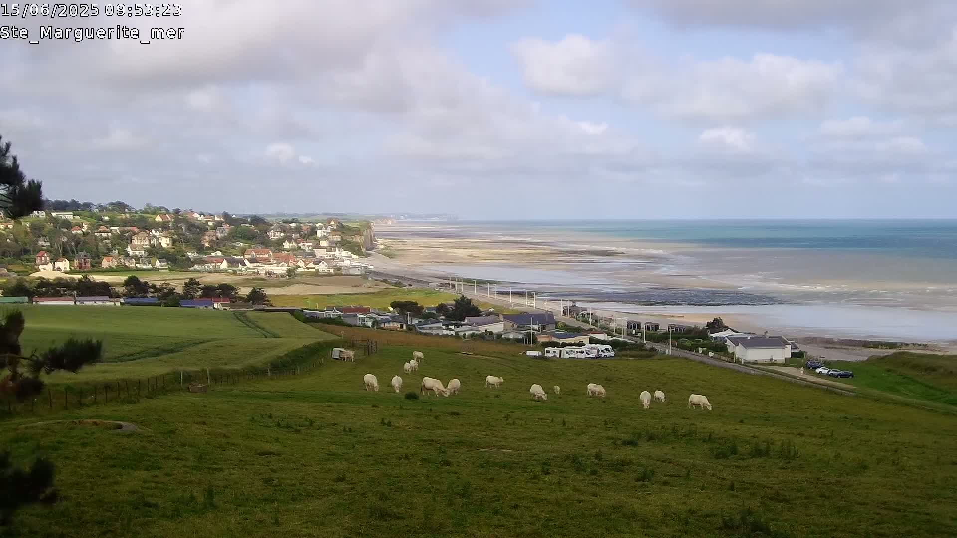 A coastal town nestled against a cliff overlooks a wide, sandy beach and calm ocean under a partly cloudy sky, with white cattle grazing in a verdant pasture in the foreground.