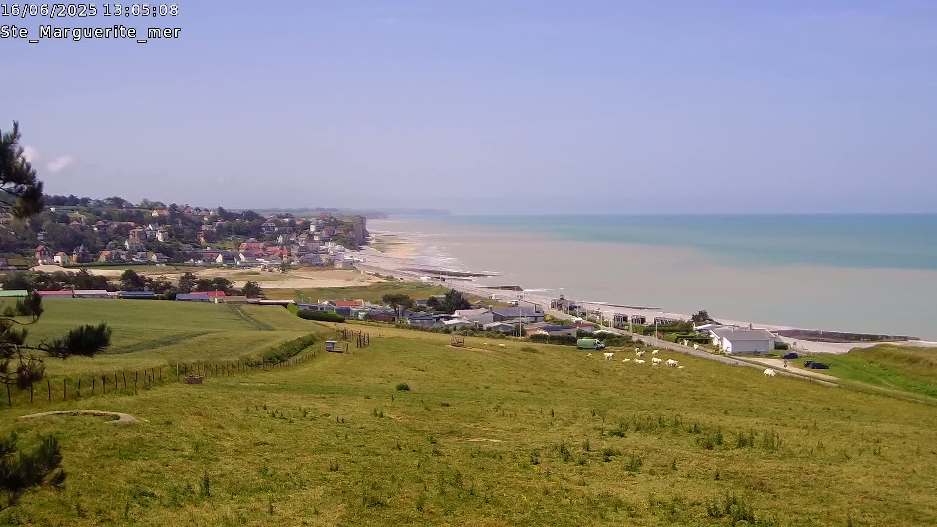 A coastal town nestled against high cliffs overlooks a calm, light-blue ocean under a clear sky; a grassy field with sheep stretches in the foreground.