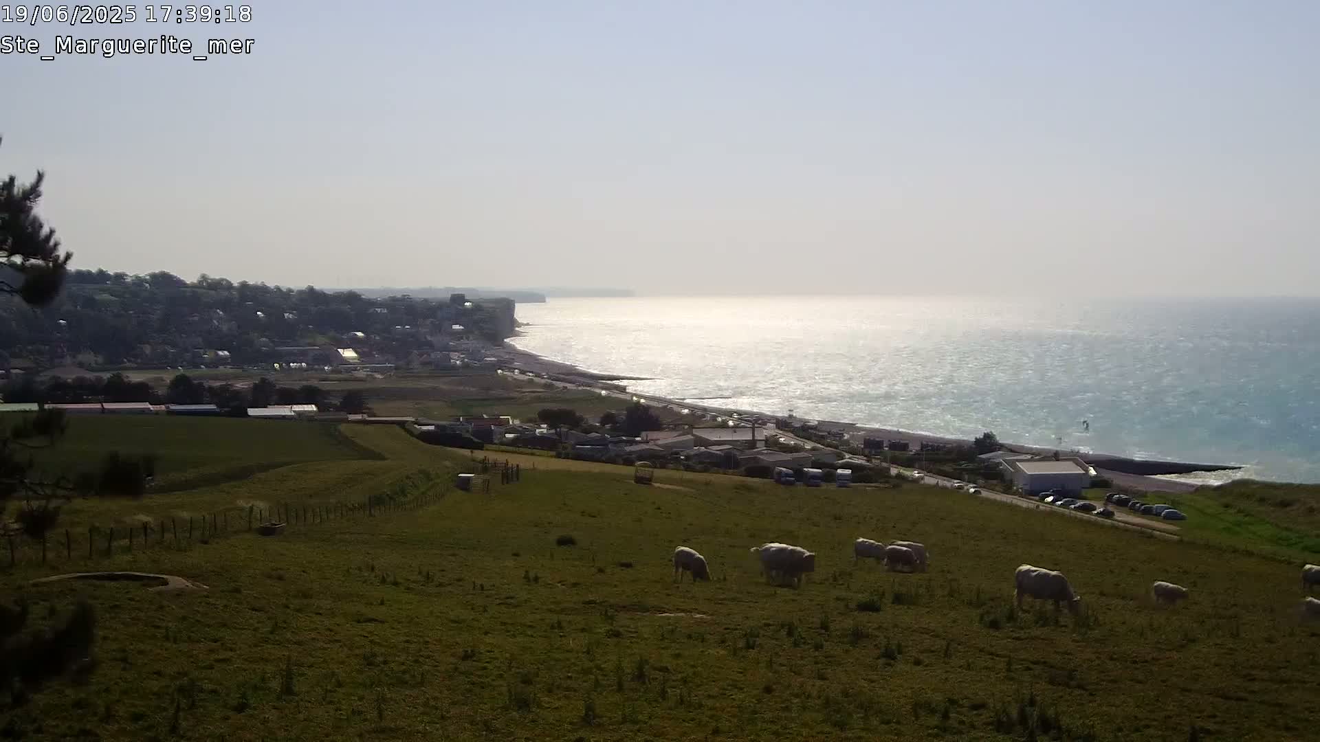 A coastal scene on a sunny day shows a seaside town nestled below a cliff, with a flock of sheep grazing in a grassy field overlooking the ocean.