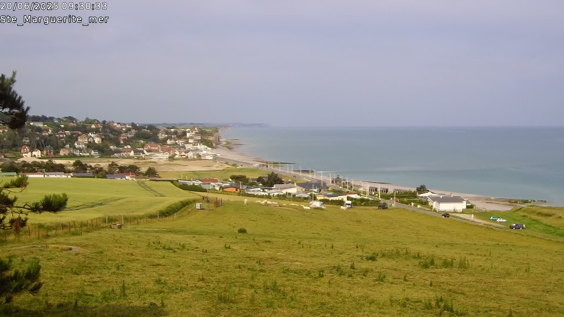 A coastal town sits atop a hill overlooking a calm ocean and sandy beach, with sheep grazing in a green field in the foreground.